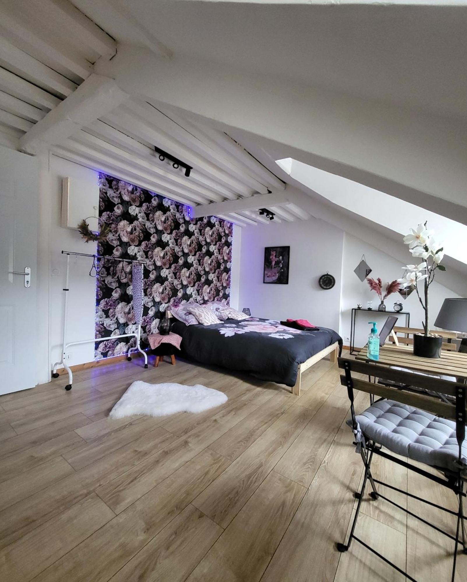 La Panthere Rose Appartement Honfleur